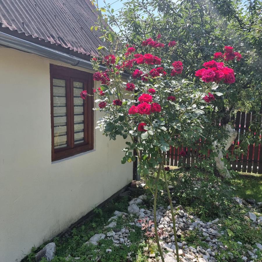 Vila Paula & Spa Sovata Buitenkant foto