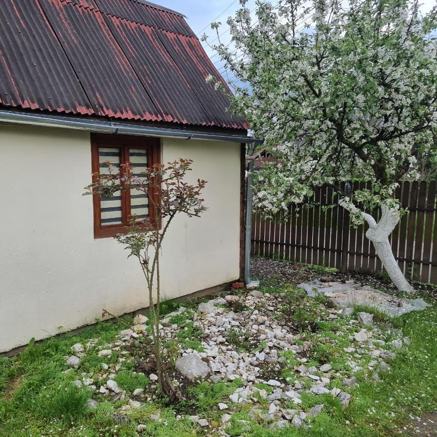 Vila Paula & Spa Sovata Buitenkant foto